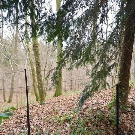 Chalé Rossignol Durbuy