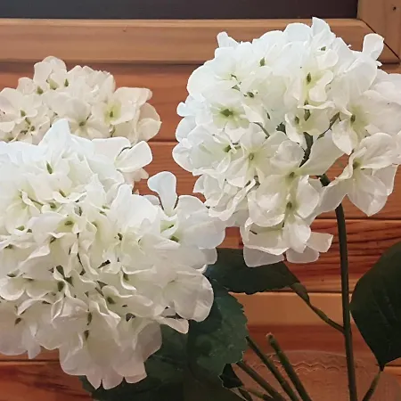 Chalé Rossignol Durbuy
